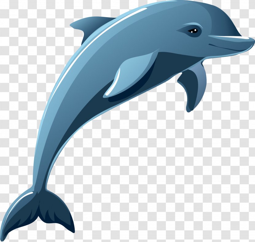 Dolphin Stock Photography Clip Art - Fauna Transparent PNG
