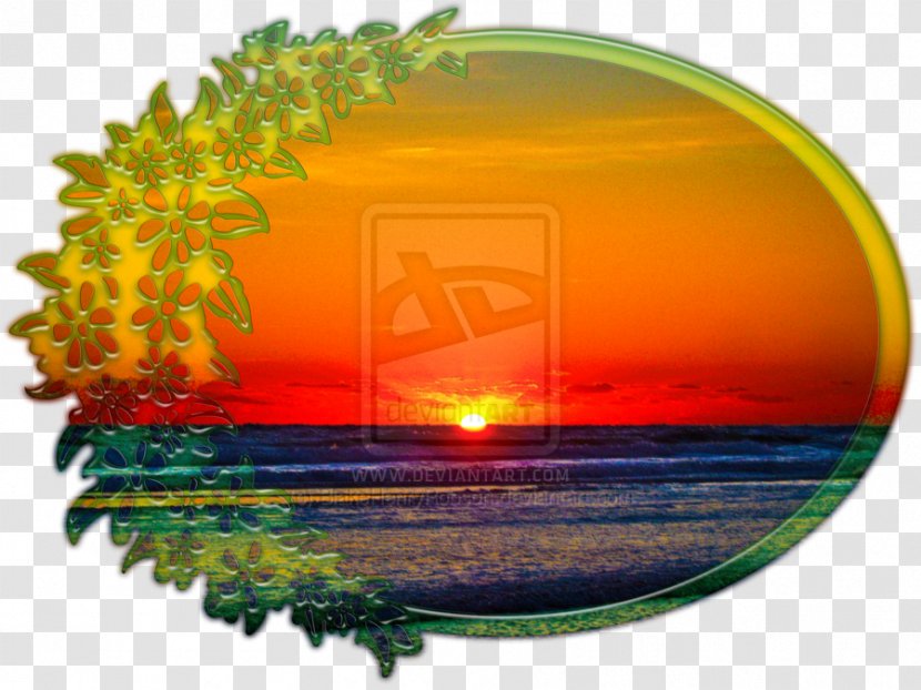 Sunrise Image Photograph Flower Sunset - Water Resources Transparent PNG