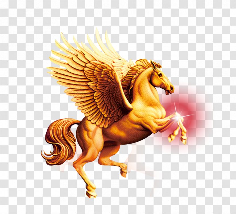 Pegasus - Chicken - Resource Transparent PNG