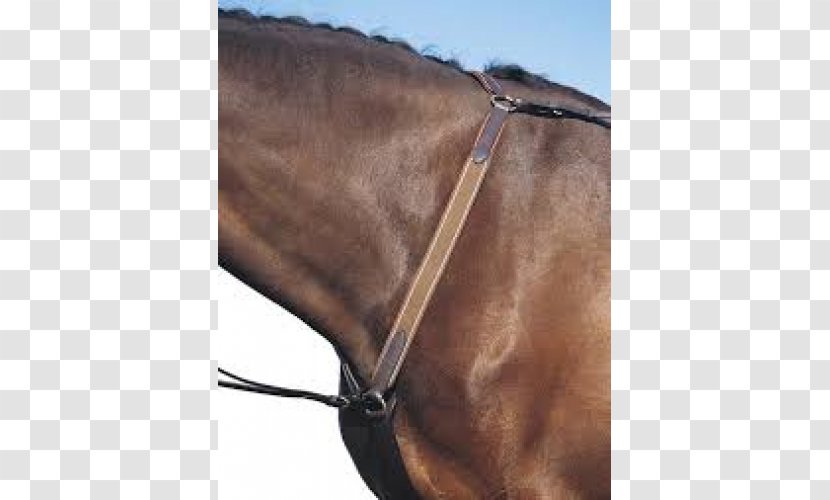 Horse Halter Breastplate Martingale Bridle - Supplies Transparent PNG