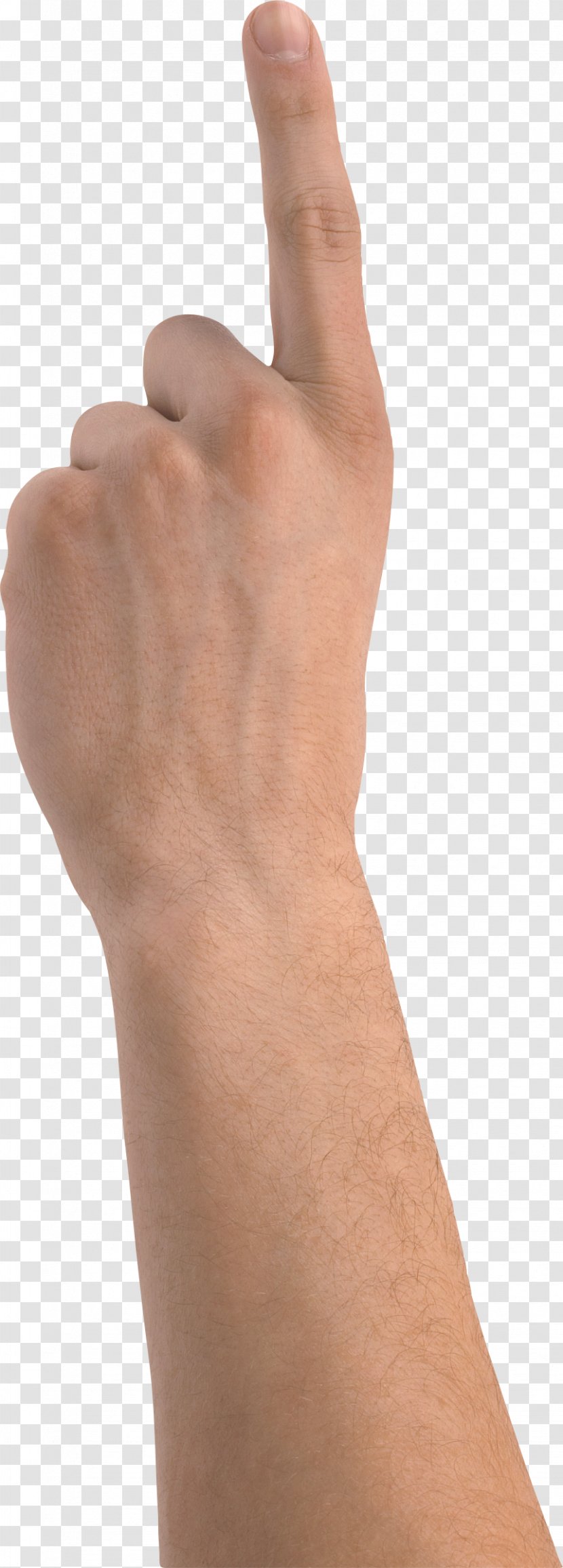 Man's Hand Thumb - Wrist - Hands PNG, Image Free Transparent PNG