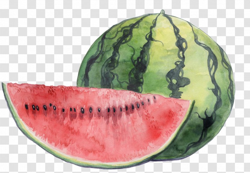 Watermelon Local Food - Mukimono - Watercolour Leave Transparent PNG