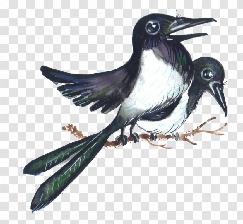 Eurasian Magpie American Sparrows Hummingbird Beak Wing - Perching Bird Transparent PNG