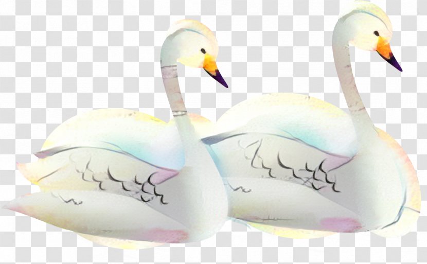 Duck Cartoon - Beak - Tundra Swan Goose Transparent PNG