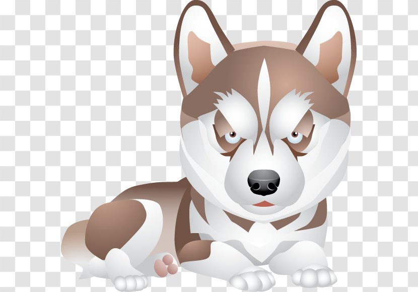 Puppy Dog Breed Siberian Husky Great Dane Boston Terrier - Snout Transparent PNG