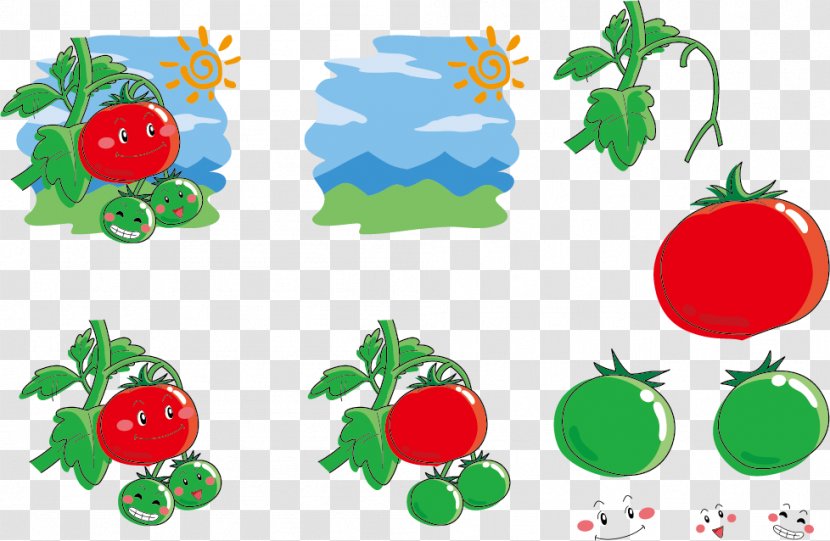 Tomato Juice Cartoon Illustration - Qversion - Expression Vector Sun Tomatoes Transparent PNG