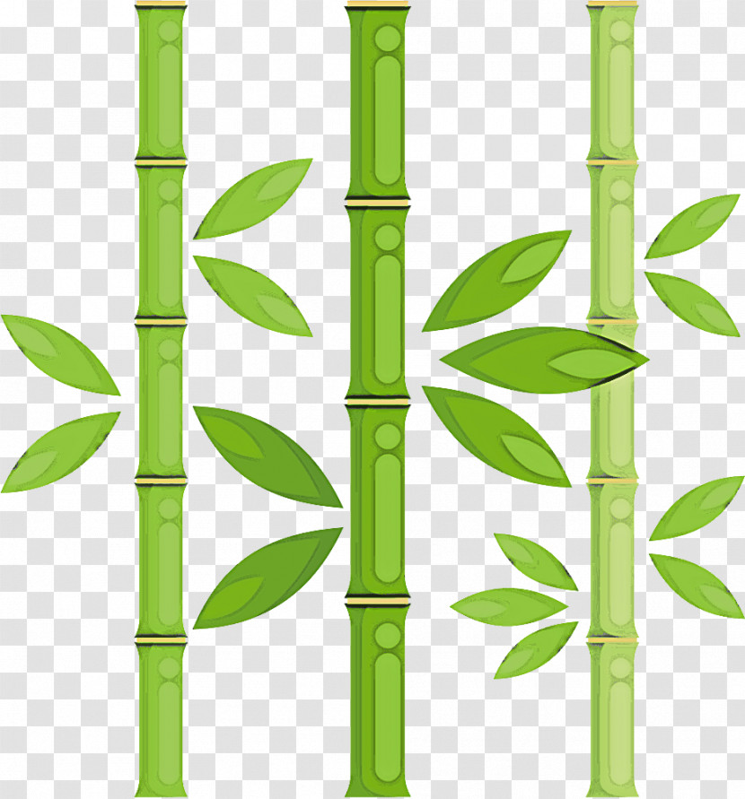 Green Bamboo Plant Stem Plant Grass Family Transparent PNG