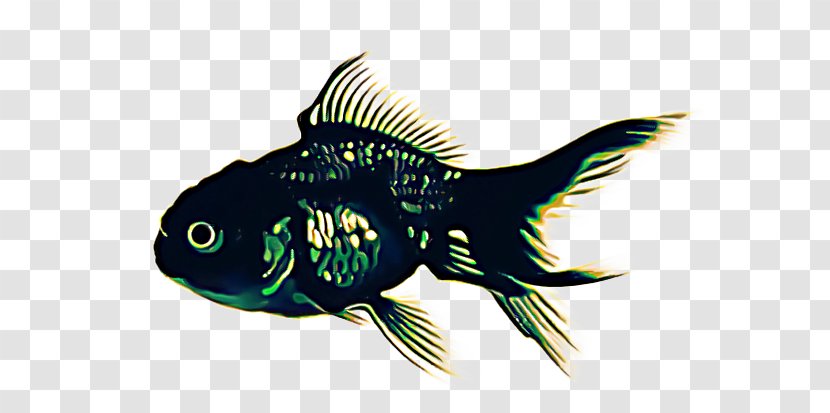 Fish Cartoon - Rayfinned - Pomacanthidae Transparent PNG