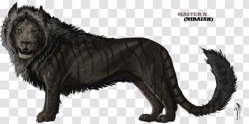 Liger Lion Drawing Simba - Tail - King Transparent PNG