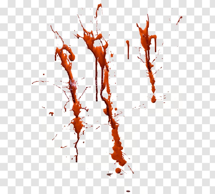 PicsArt Photo Studio Desktop Wallpaper Image Clip Art - Blood Splatter Transparent Transparent PNG