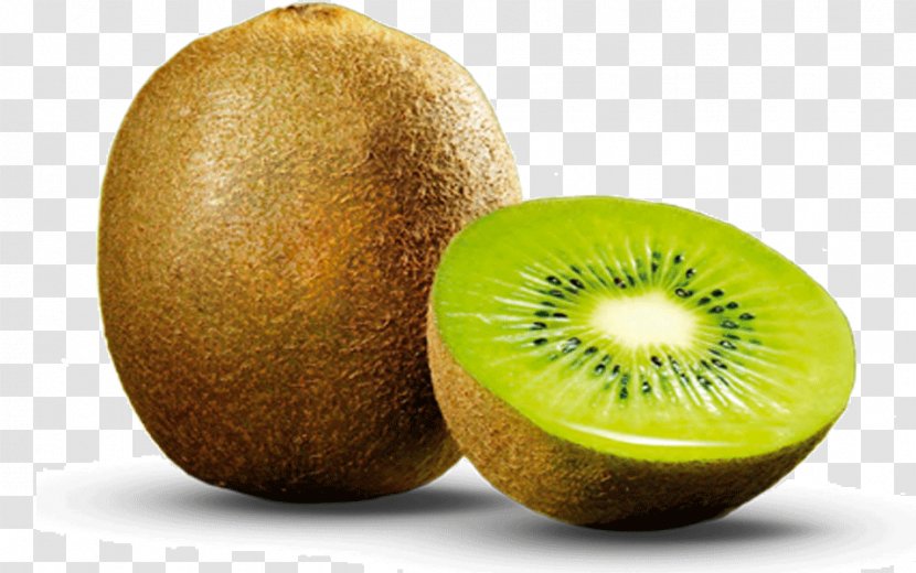 Kiwifruit SUGHARANI FOODS PVT. LTD. Fruit Production In Iran New Zealand - Apple - Tropical Transparent PNG