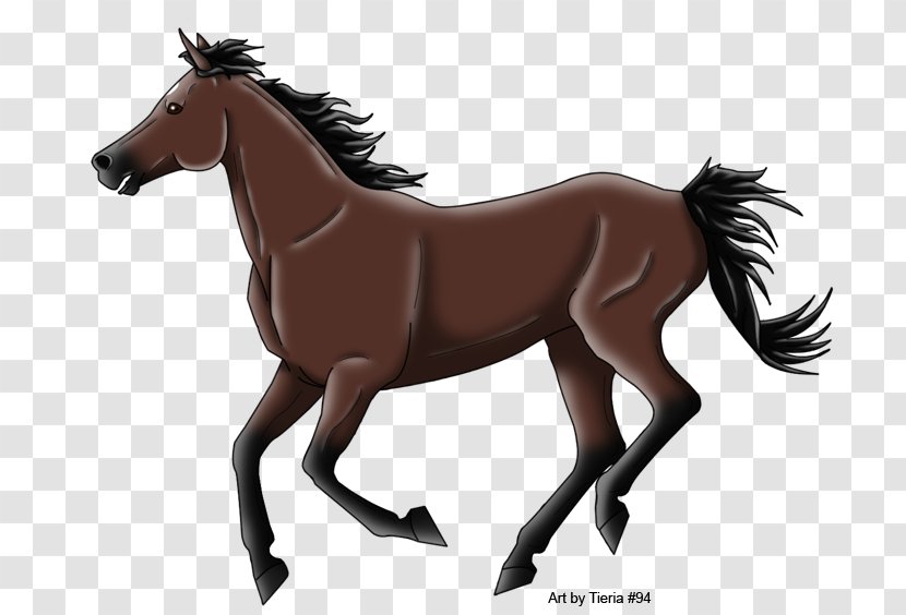 Mane Mustang Foal Stallion Colt - Horse Tack Transparent PNG