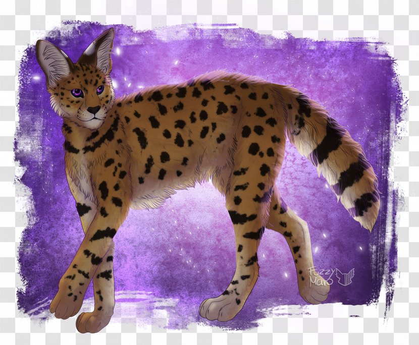 Whiskers Cheetah Wildcat Terrestrial Animal - Snout Transparent PNG