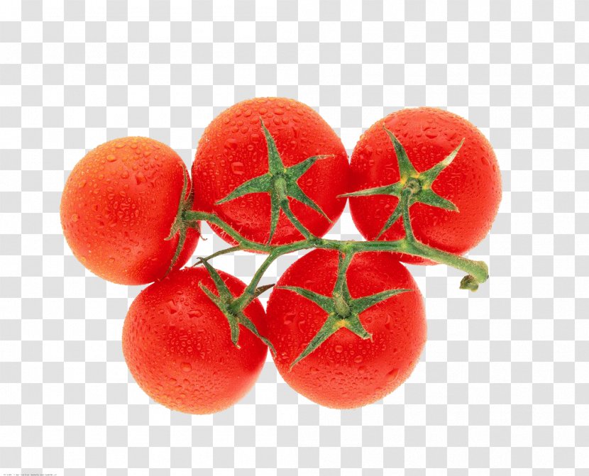 Plum Tomato Organic Food Vegetable - Tomatoes, Fruits And Vegetables Transparent PNG
