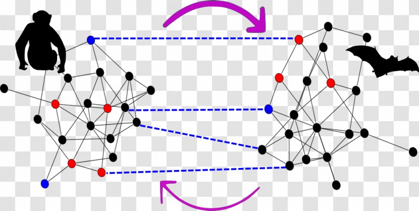 Ecology Research Diagram Triangle Community - Watercolor - Ecological Information Transparent PNG