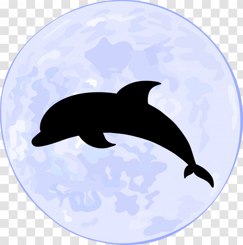 Supermoon Euclidean Vector Oceanic Dolphin Illustration - Fauna - Silhouette Moonlight Transparent PNG