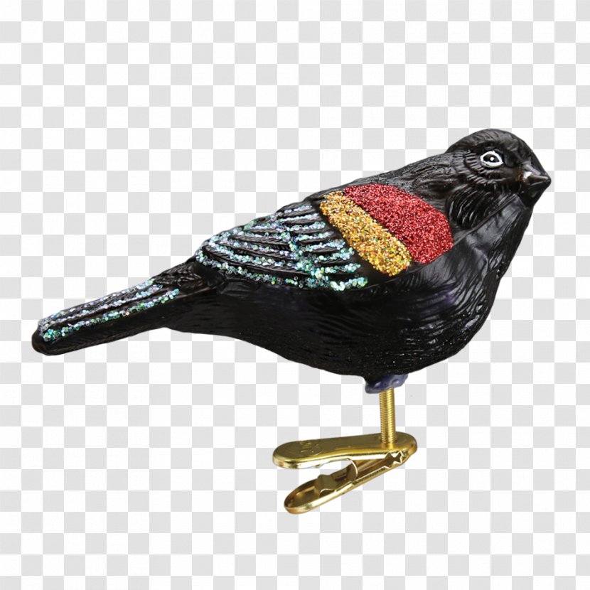 Red-winged Blackbird Christmas Ornament Common Redwing - Bird Transparent PNG