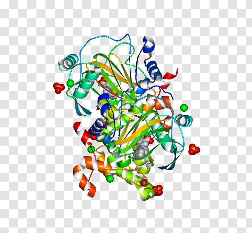 Anticalin Protein Antibody Antigen Lipocalin - Heart - Outlier Transparent PNG