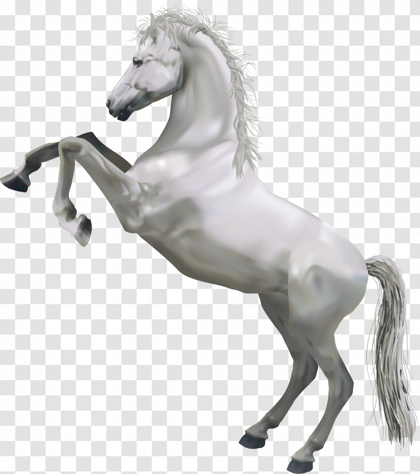 Horse White Clip Art - Stallion - Transparent Transparent PNG