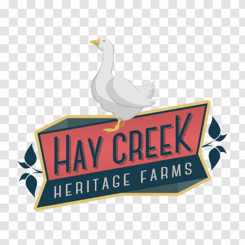 Cotton Patch Goose Hay Creek Heritage Farms Chicken Cayuga Duck - Breed Transparent PNG