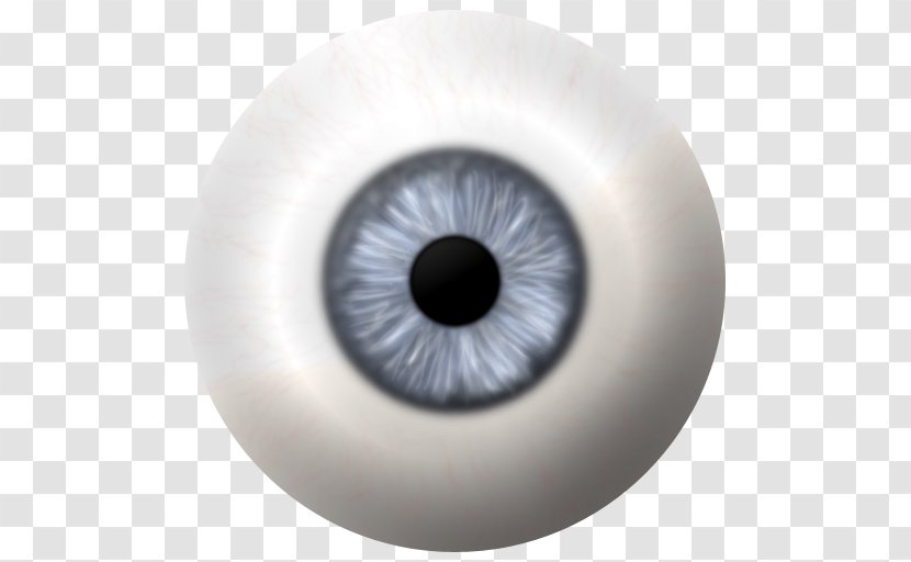 Human Eye Iris Pupil - Flower - 3d Isometric Transparent PNG