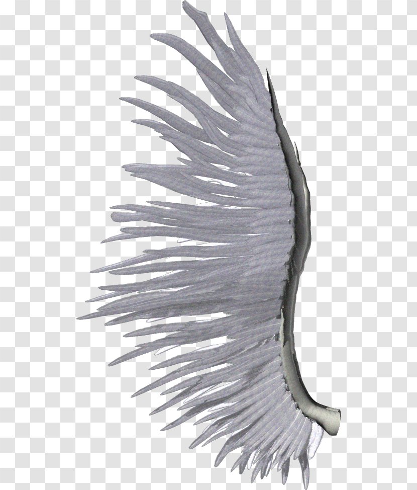 Wing White Clip Art - During The Day So That Wings Transparent PNG
