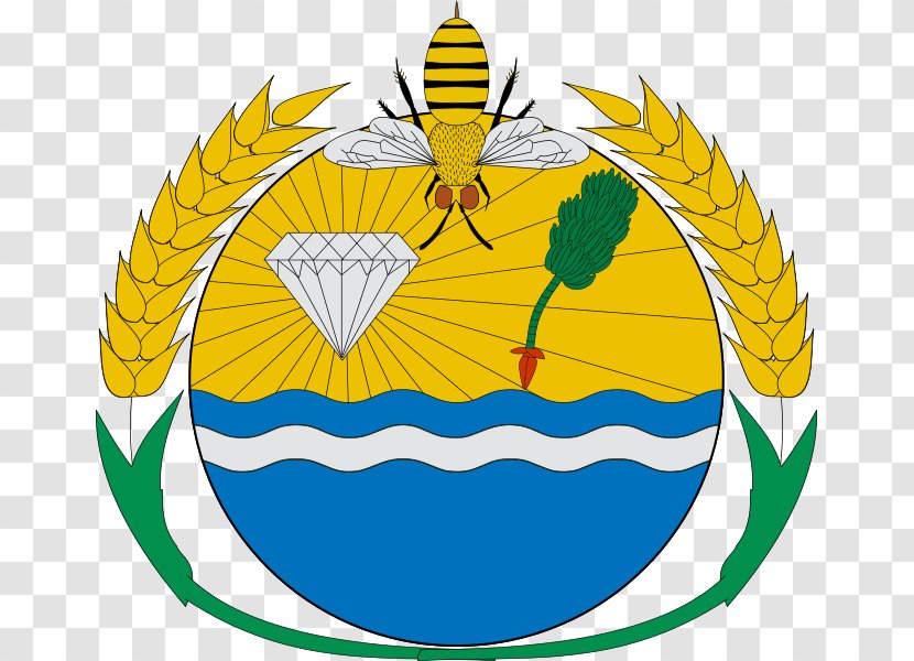 Flag Coat Of Arms Arapoema Bandeira Do Tocantins Wikimedia Commons Transparent PNG