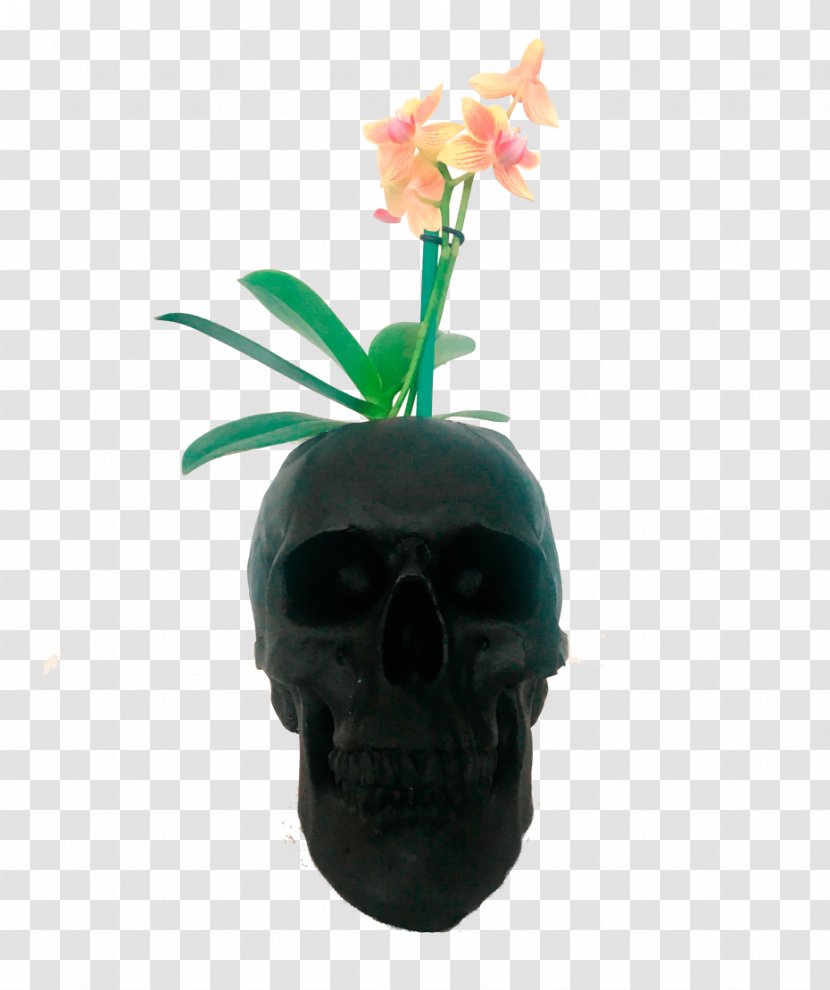 Skull Flowerpot Plant - Bone Transparent PNG