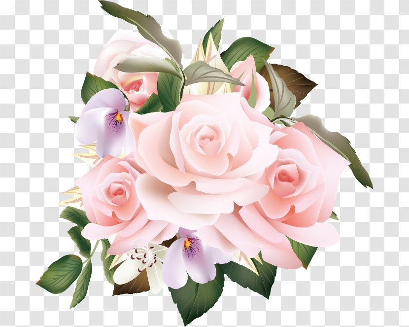 Drawing Euclidean Vector Flower Illustration - Rose - Floral Decoration Transparent PNG