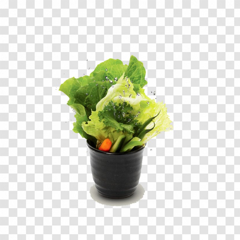 Korean Cuisine Lettuce Chinese Cabbage Vegetable Food Transparent PNG