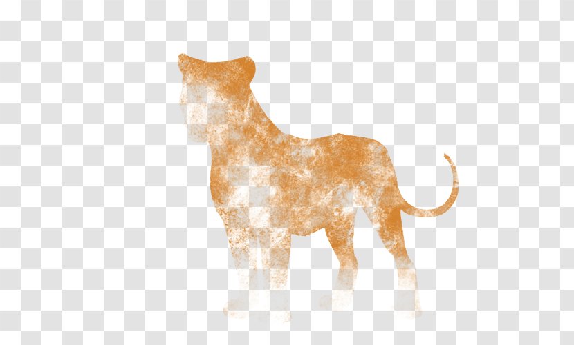 Lion Cat Dog Canidae Terrestrial Animal Transparent PNG