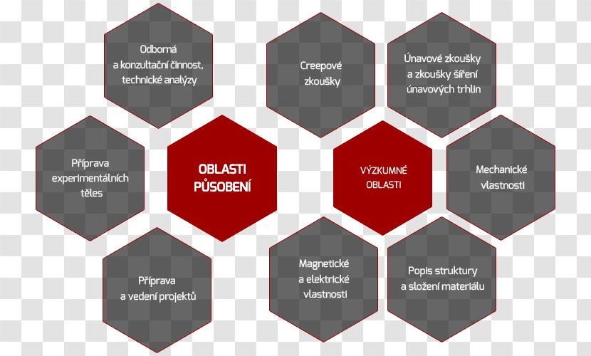 Sustainability Business Risk Building Information Modeling Conceptual Model - Logo Transparent PNG