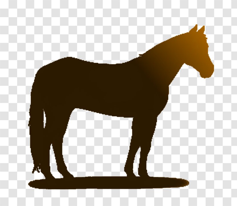 Mane Mustang Stallion Foal Hanoverian Horse - Snout Transparent PNG