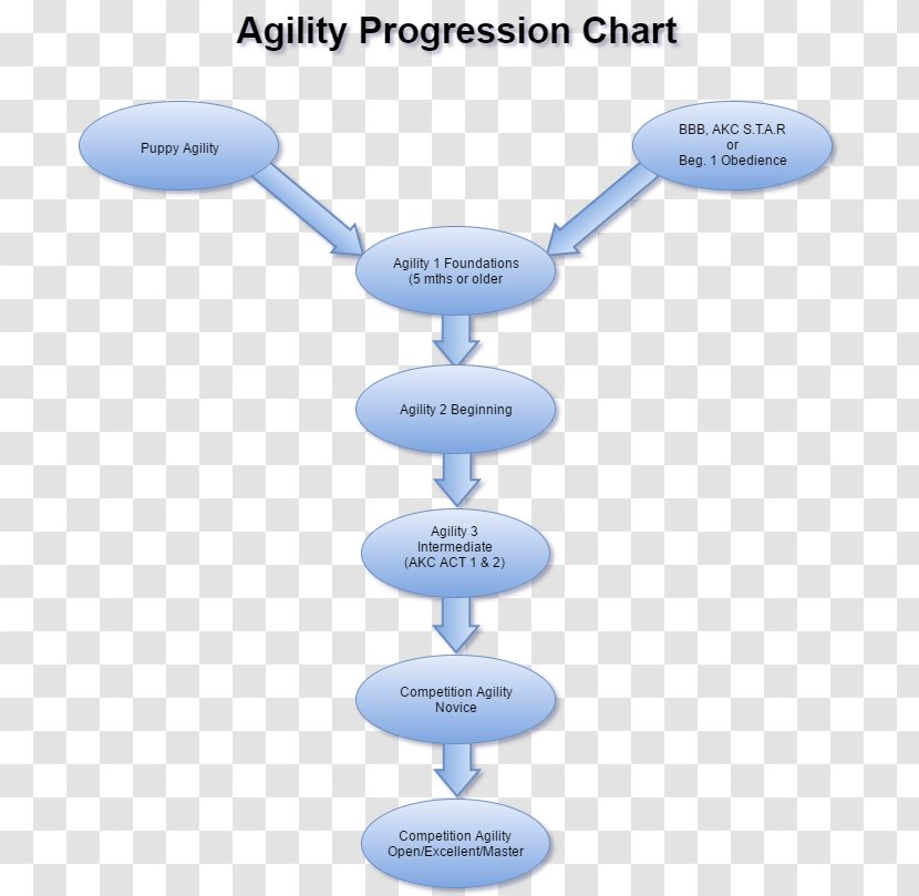 Chart Dog Training Obedience Trial Agility - Water Transparent PNG