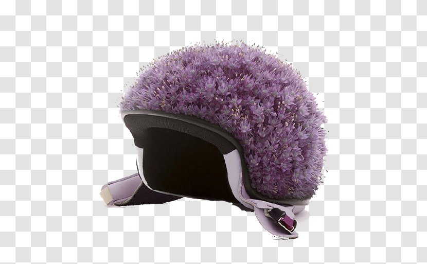 Photographer Photography Graphic Designer Art - Food - Purple Lavender Helmet Transparent PNG