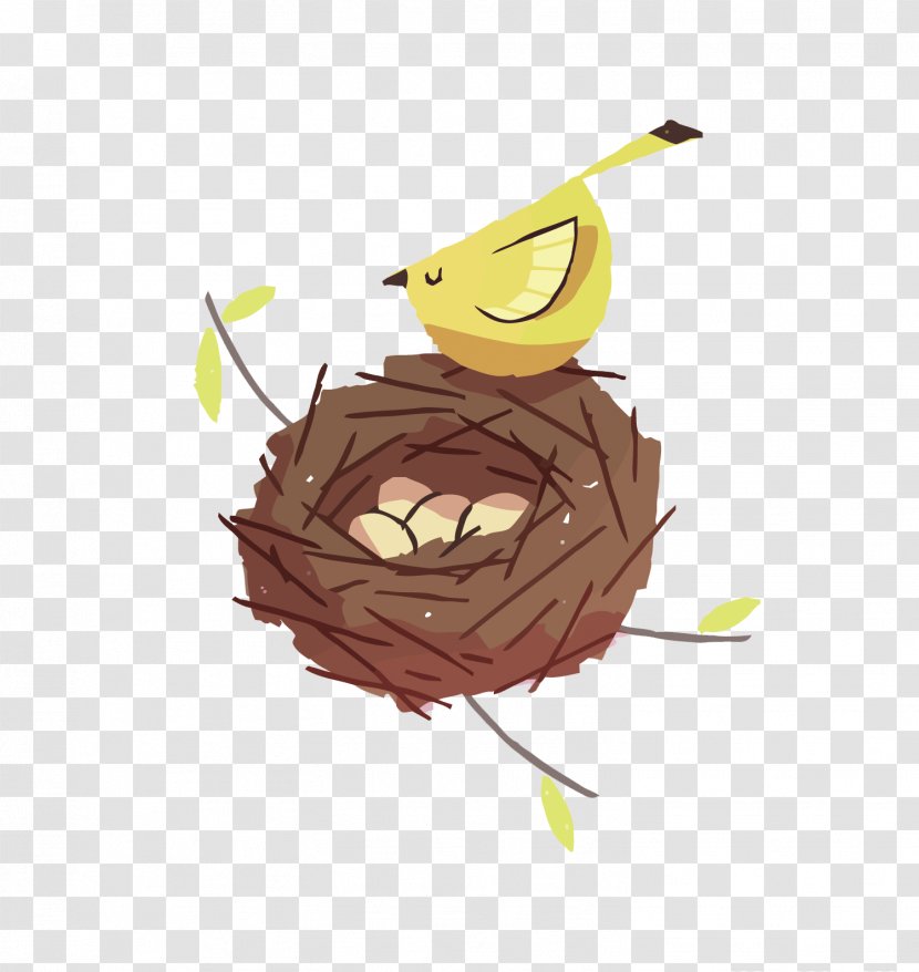 Bird Cartoon Drawing Illustration - Art - Vector Bird's Nest Transparent PNG