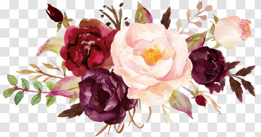 Cabbage Rose Garden Roses Peony Cut Flowers Floral Design - Still Life Photography Transparent PNG