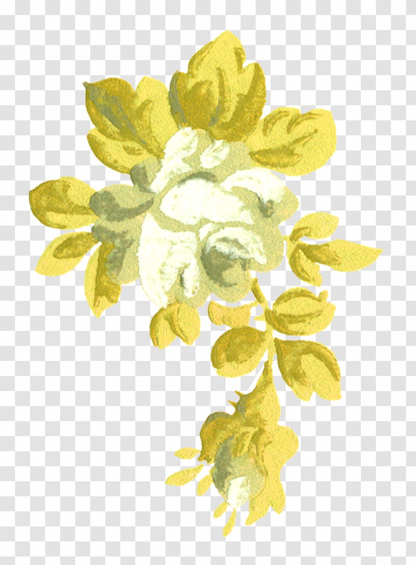 Cut Flowers Floral Design Petal Food - Yellow - White Rose Transparent PNG