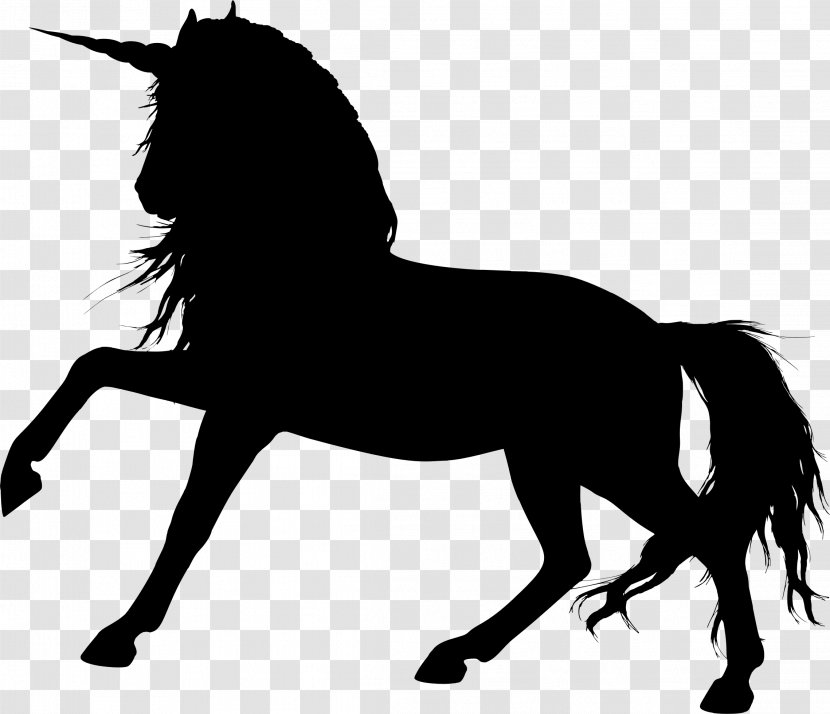 Arabian Horse Colt Foal Clip Art - Pony - Unicornio Transparent PNG