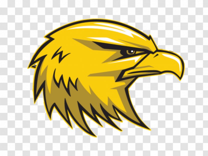 Del Oro High School Rocklin National Secondary Eagle Granite Bay, California - Vertebrate - Golden Logo Transparent PNG