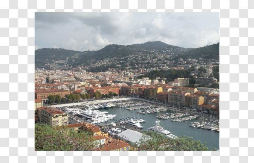 Study Abroad Institute For The International Education Of Students Port Nice - Real Estate - Plaisance Service EngineeringFrench Riviera Transparent PNG