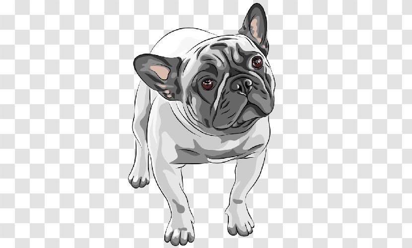 French Bulldog American Puppy Dog Breed - Sticker Transparent PNG