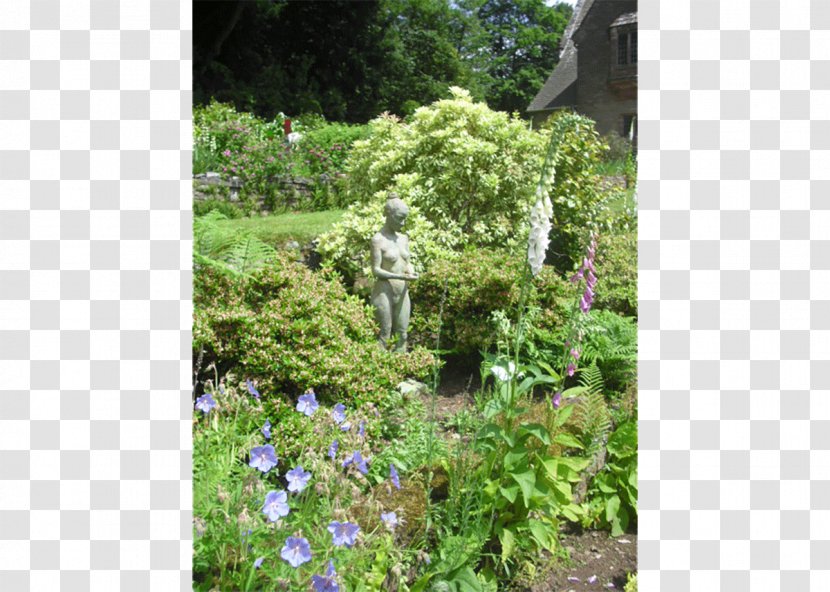 Art Exhibition Erwood Station Gallery Workshop Wales Garden - Houseplant - Robert Palmer Transparent PNG