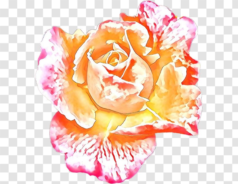 Flower Art Watercolor - Floral Design - Perennial Plant Floribunda Transparent PNG