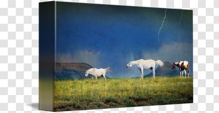 Gallery Wrap Ecosystem Painting Wind Canvas - Sheep - Storm Warning Transparent PNG