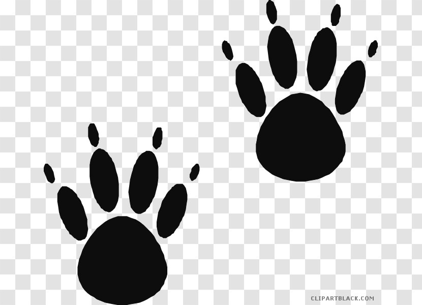 American Black Bear Paw Clip Art Cat - Snout Transparent PNG