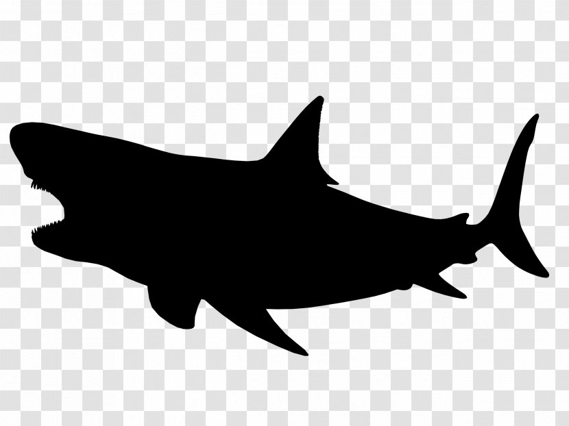 Shark Clip Art Fauna Silhouette Mammal - Cartilaginous Fish Transparent PNG