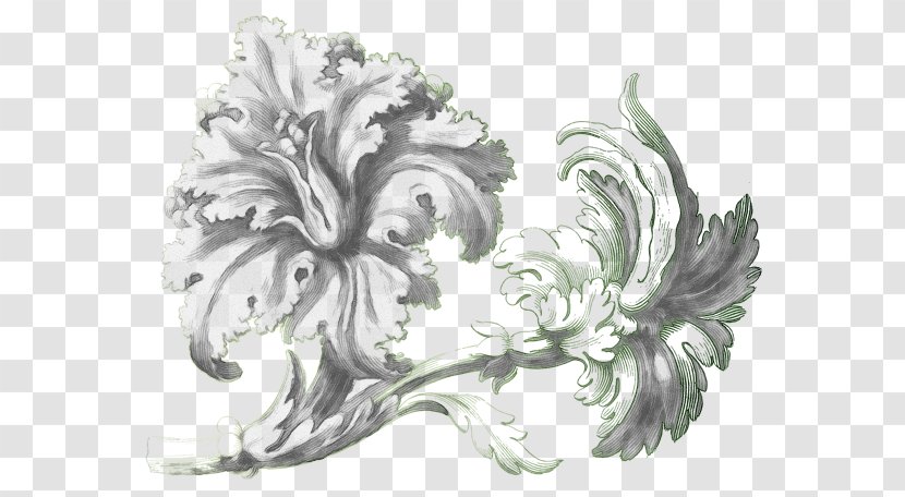 White Plant Flower Ornament Drawing - Wing Metal Transparent PNG