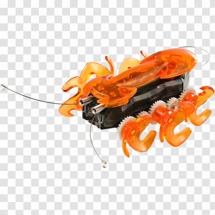 Invertebrate - Hexbug Transparent PNG