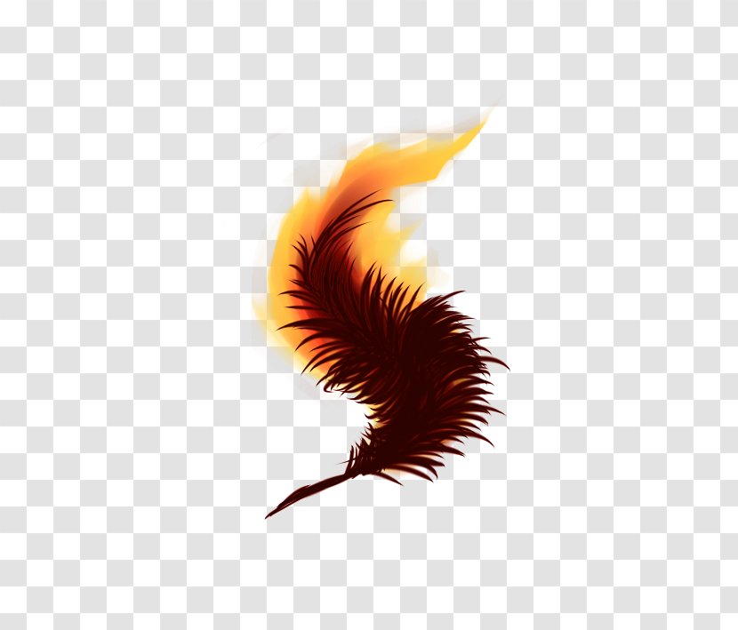 Phoenix Fenghuang DeviantArt Fan Art Transparent PNG